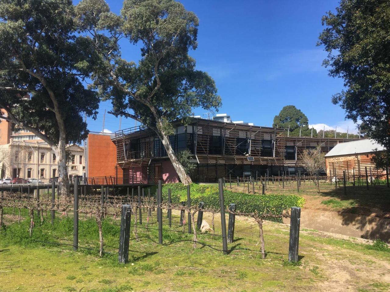 Adelaide Style Accommodation-Close To City-North Adelaide-3 Bdrm- Free Parking Екстериор снимка